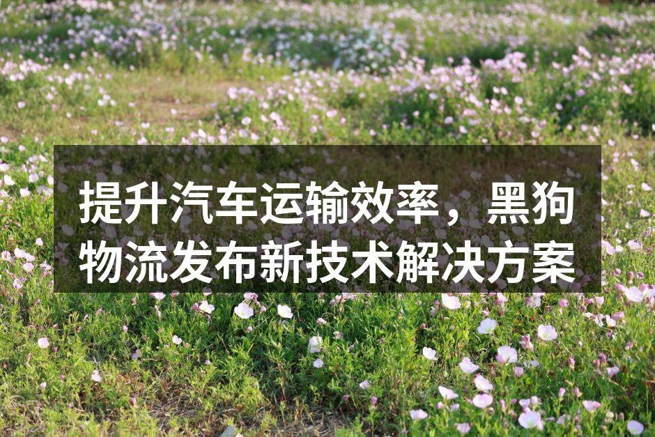 黑狗物流新技术方案示意图